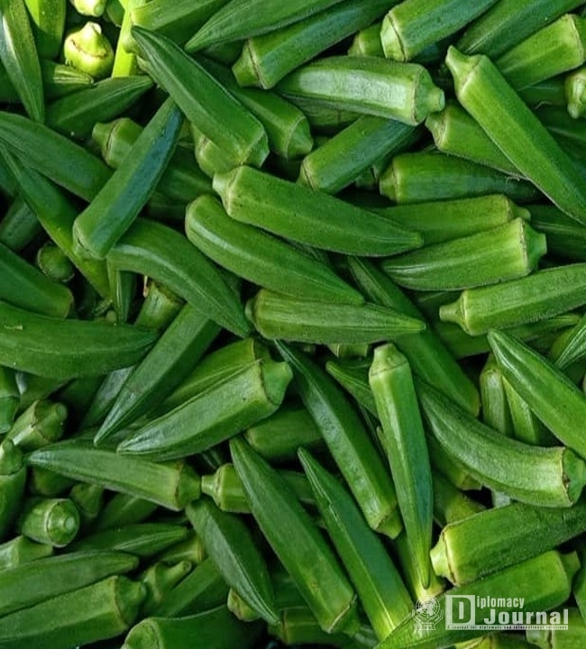 Fresh Philippine Okra – The Philippines is the only country supplying the highly nutritious okra in fresh form. The Republic of Korea has been importing fresh okra from the Philippines since June 2020. / Courtesy of the Philippine Agriculture Office in Seoul