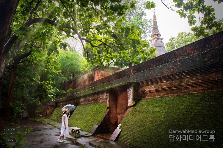 Wat Umong, Chiang Mai<br>
Explore the tranquil and mysterious Wat Umong, an ancient temple surrounded by lush greenery and peaceful tunnels, perfect for meditation and reflection.