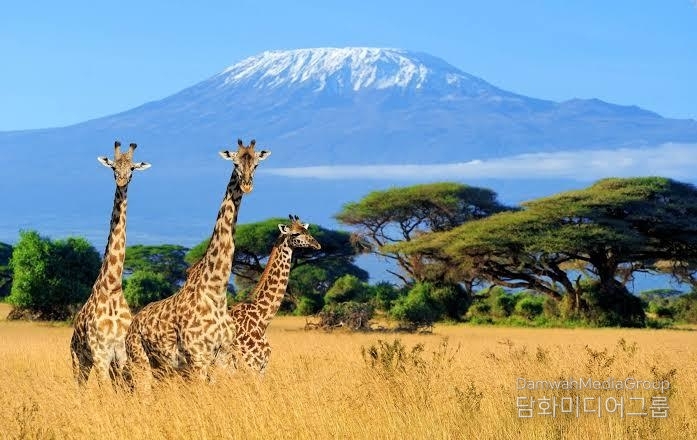 The mount Kilimanjaro as the snow can be observed from far.