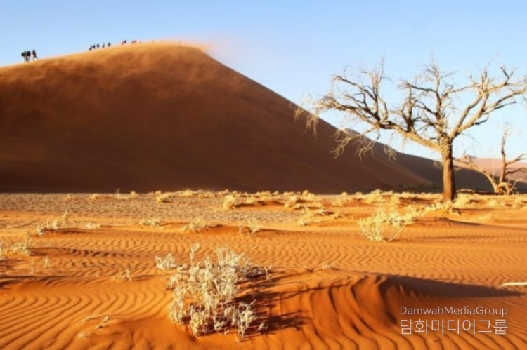 Namibe Desert, Angola