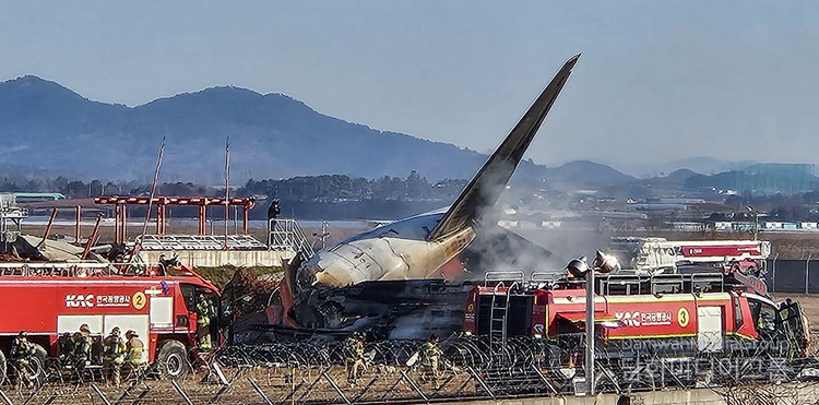 Just two of the 181 people on board a Jeju Air plane survived when the passenger jet crash-landed at an airport in Muan, Jeollanam-do on Dec. 29.