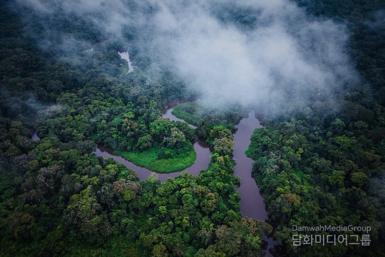 Mangroves National Park (Parc Marin des Mangroves)